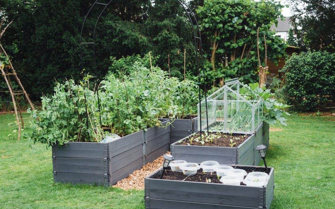 Why Raised Bed Gardening is the Best Option for Your Home Garden